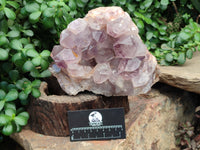 Natural Jacaranda Amethyst Quartz Cluster x 1 From Mumbwa, Zambia