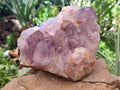 Natural Jacaranda Amethyst Quartz Cluster x 1 From Mumbwa, Zambia - Toprock Gemstones and Minerals 