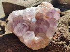 Natural Jacaranda Amethyst Quartz Cluster x 1 From Mumbwa, Zambia - Toprock Gemstones and Minerals 