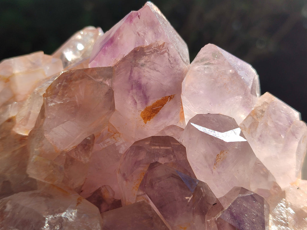 Natural Jacaranda Amethyst Quartz Cluster x 1 From Mumbwa, Zambia - Toprock Gemstones and Minerals 