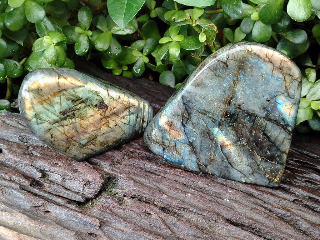 Polished Labradorite Standing Free Form x 2 From Tulear, Madagascar - Toprock Gemstones and Minerals 