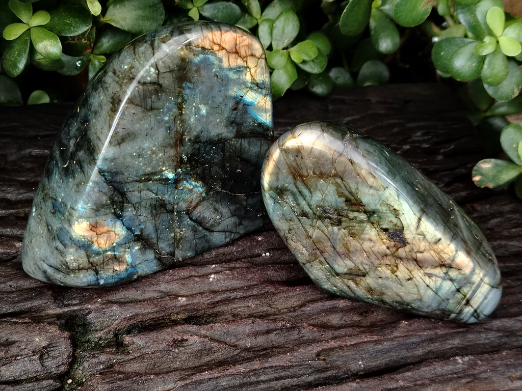 Polished Labradorite Standing Free Form x 2 From Tulear, Madagascar - Toprock Gemstones and Minerals 