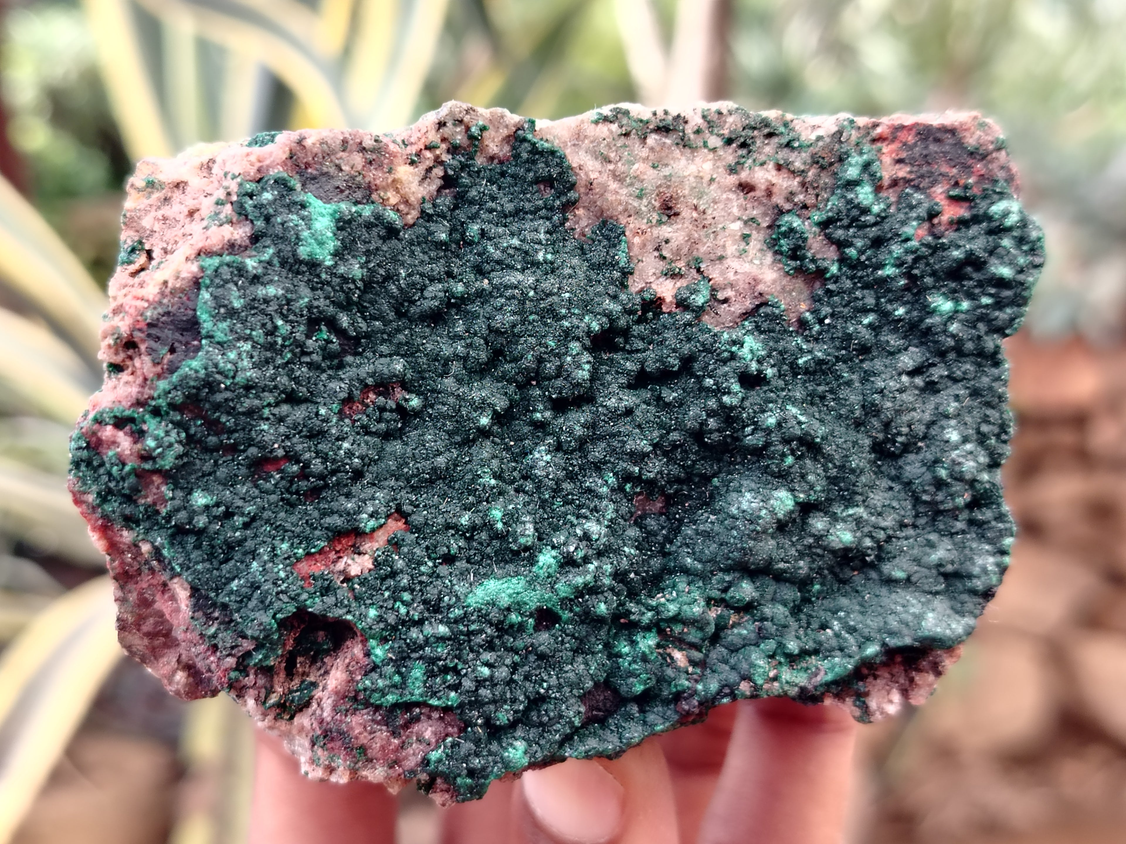 Natural Crystalline and Ball Malachite Specimens x 6 From Tenke Fungurume, Congo - Toprock Gemstones and Minerals 