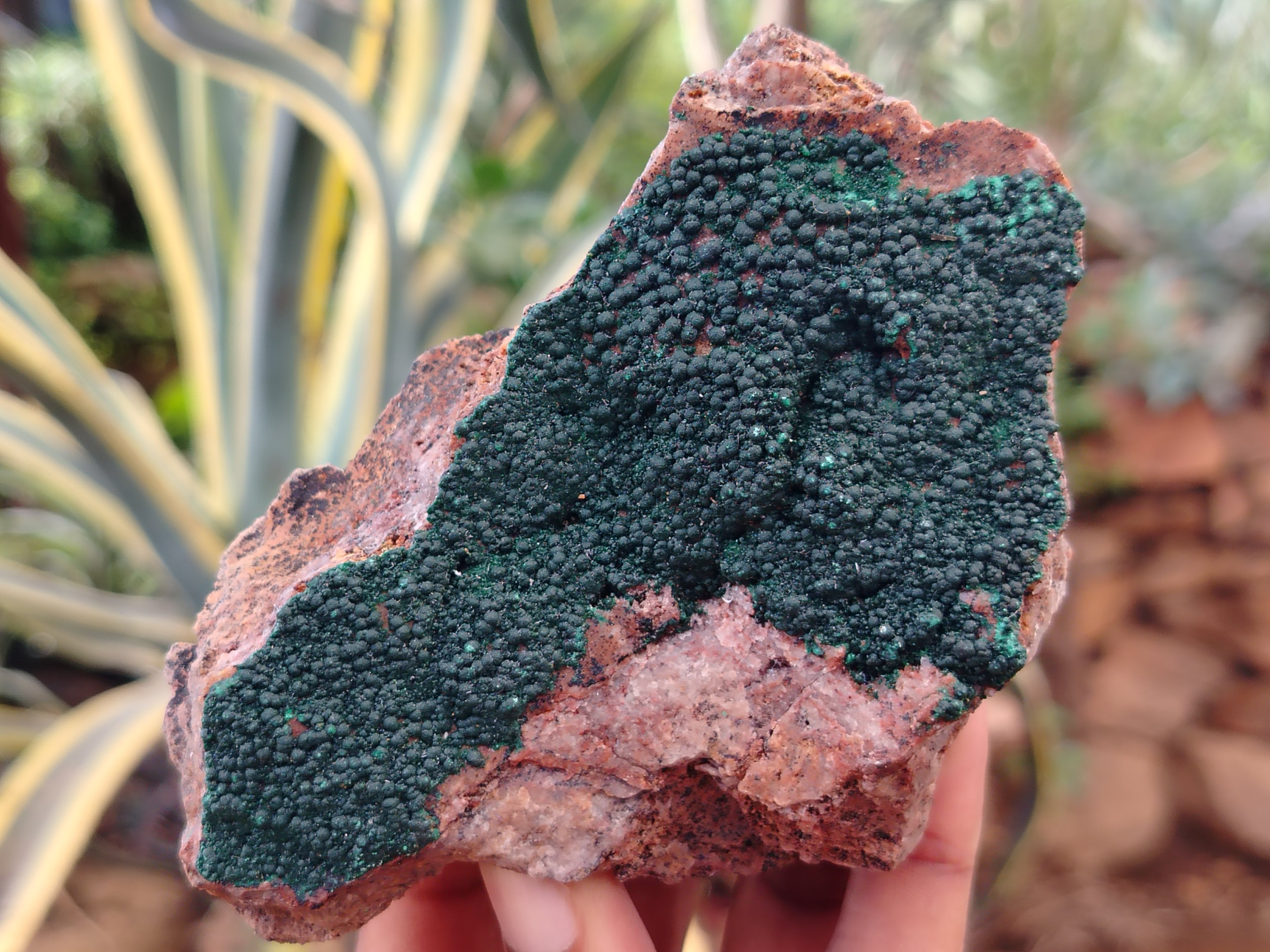 Natural Crystalline and Ball Malachite Specimens x 6 From Tenke Fungurume, Congo - Toprock Gemstones and Minerals 