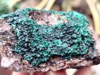 Natural Crystalline and Ball Malachite Specimens x 6 From Tenke Fungurume, Congo - Toprock Gemstones and Minerals 