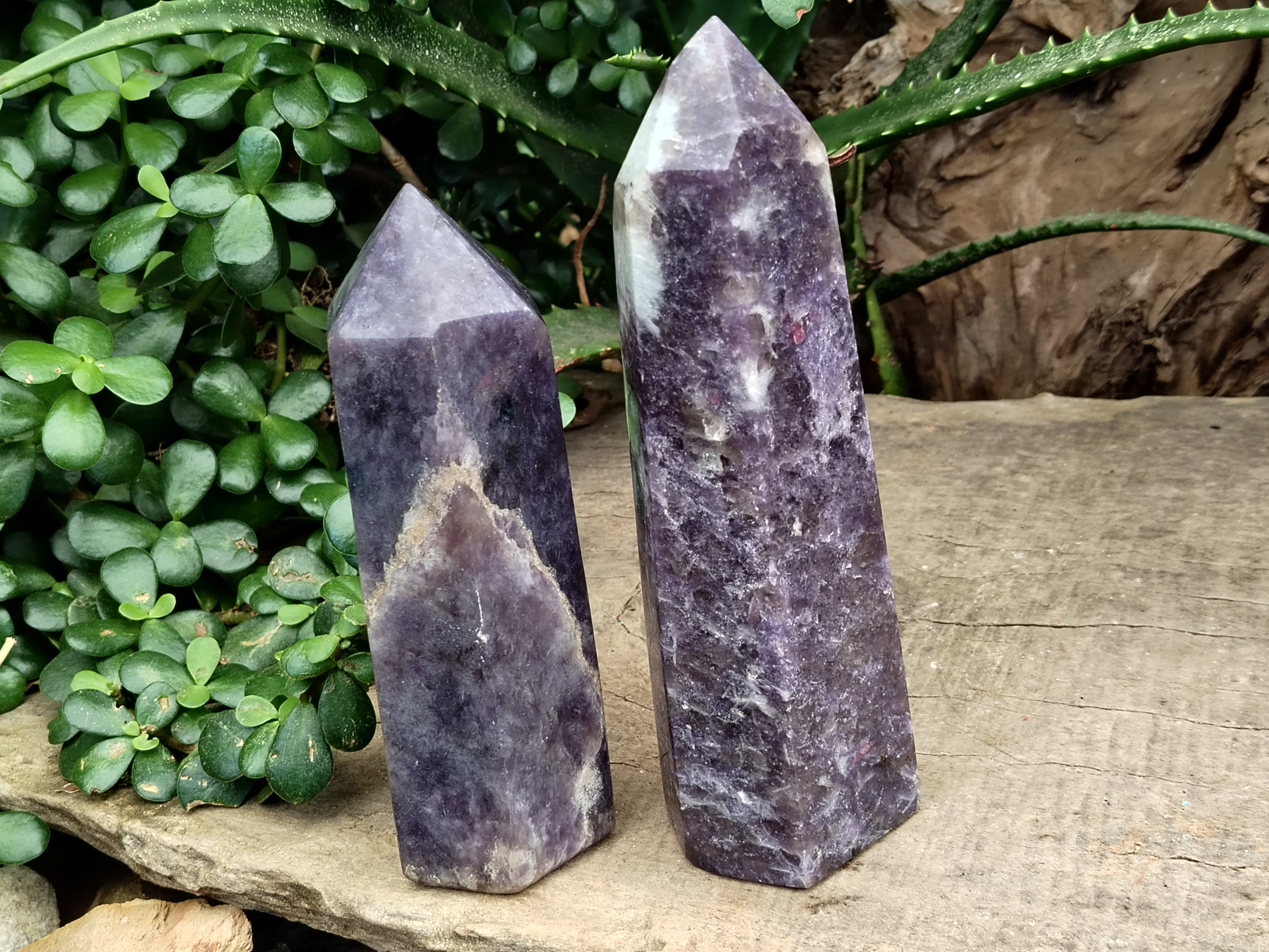 Polished Lepidolite with Pink Rubellite Points x 2 From Ambatondrazaka, Madagascar - Toprock Gemstones and Minerals 