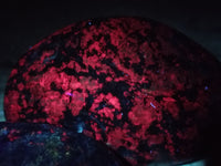 Polished Ruby Corundum In Chrome Verdite Free Forms x  From Zimbabwe - Toprock Gemstones and Minerals 