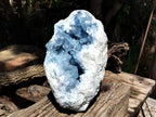 Natural Large Celestite Geode Specimen x 1 From Sakoany, Madagascar - Toprock Gemstones and Minerals 