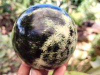 Polished Leopard Stone Spheres x 2 From Nyanga, Zimbabwe
