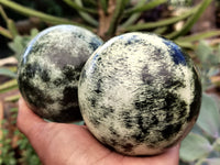 Polished Leopard Stone Spheres x 2 From Nyanga, Zimbabwe