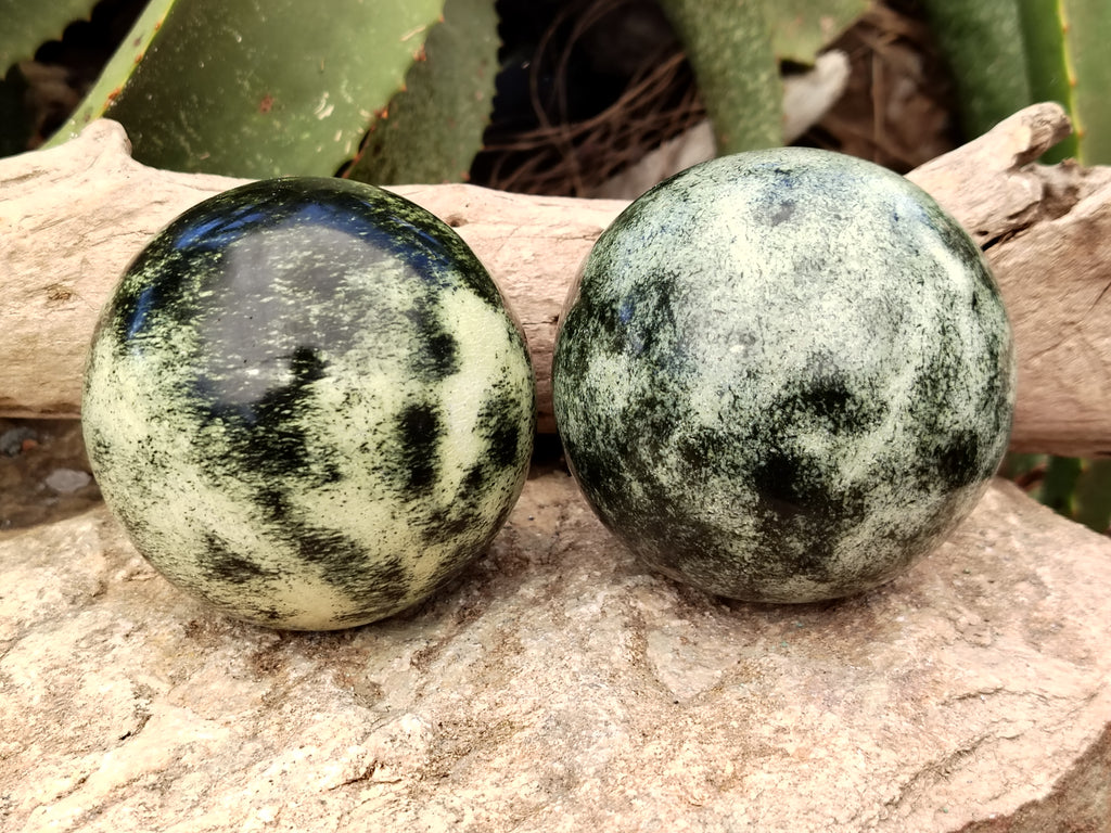 Polished Leopard Stone Spheres x 2 From Nyanga, Zimbabwe - Toprock Gemstones and Minerals 