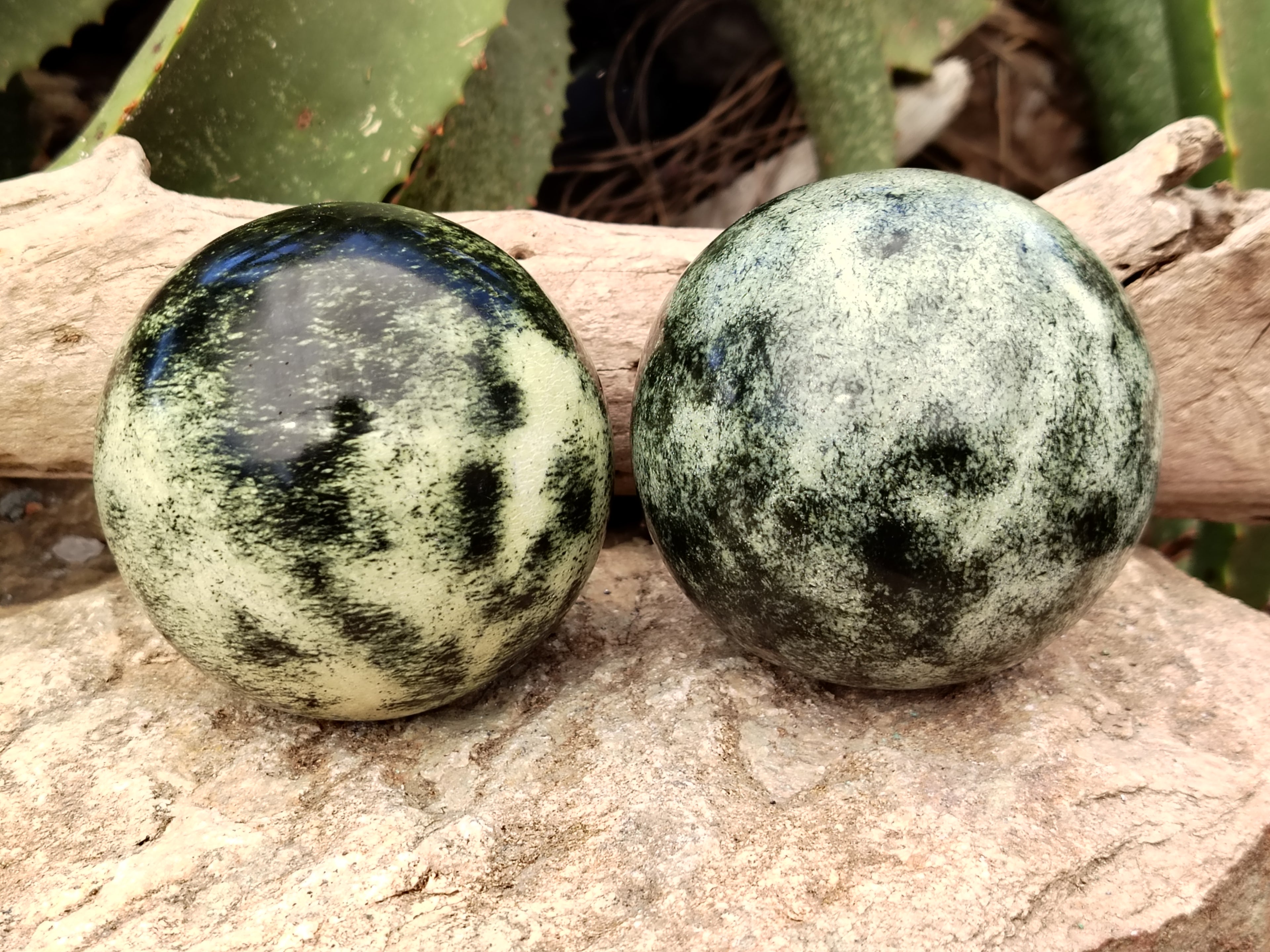Polished Leopard Stone Spheres x 2 From Nyanga, Zimbabwe - Toprock Gemstones and Minerals 