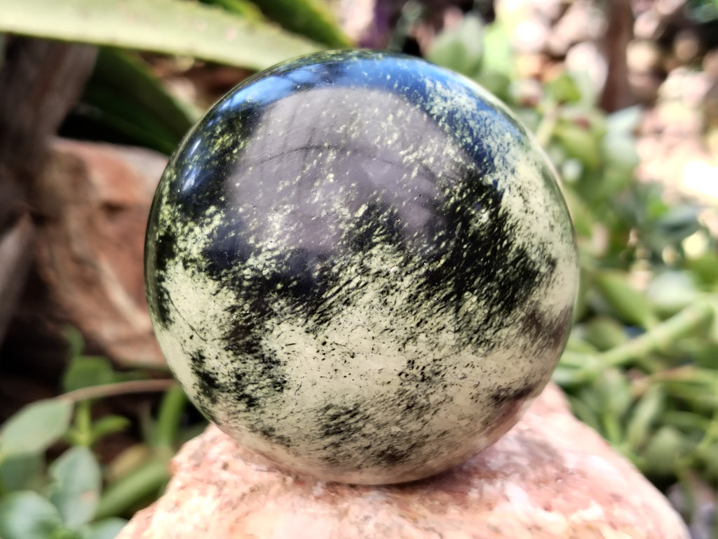 Polished Leopard Stone Spheres x 2 From Nyanga, Zimbabwe - Toprock Gemstones and Minerals 