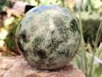 Polished Leopard Stone Spheres x 2 From Nyanga, Zimbabwe - Toprock Gemstones and Minerals 