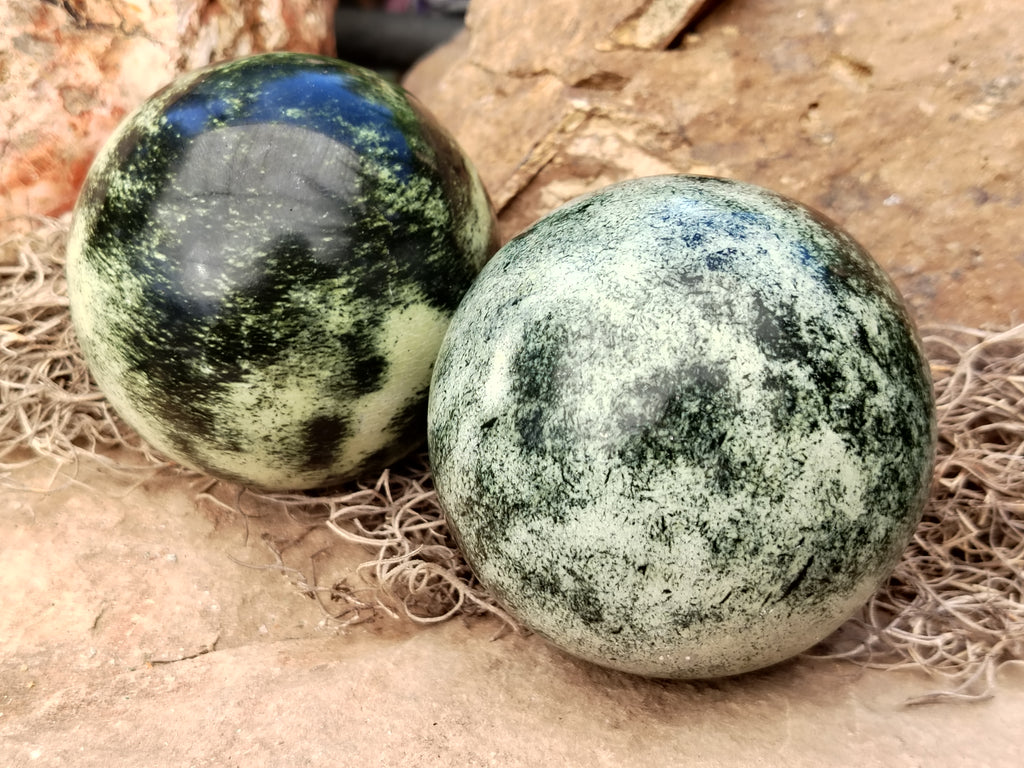 Polished Leopard Stone Spheres x 2 From Nyanga, Zimbabwe - Toprock Gemstones and Minerals 