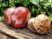 Polished Podocarpus Petrified Wood Hearts x 2 From Mahajanga, Madagascar