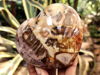 Polished Podocarpus Petrified Wood Hearts x 2 From Mahajanga, Madagascar