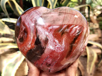 Polished Podocarpus Petrified Wood Hearts x 2 From Mahajanga, Madagascar
