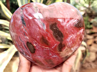 Polished Podocarpus Petrified Wood Hearts x 2 From Mahajanga, Madagascar