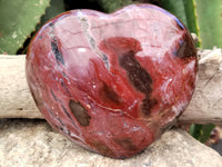 Polished Podocarpus Petrified Wood Hearts x 2 From Mahajanga, Madagascar