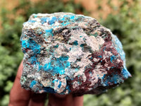 Natural Shattuckite with Chrysocolla and Malachite Cobbed Specimens x 11 From Kaokoveld, Namibia