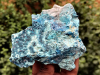 Natural Shattuckite with Chrysocolla and Malachite Cobbed Specimens x 11 From Kaokoveld, Namibia