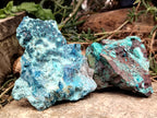Natural Shattuckite with Chrysocolla and Malachite Cobbed Specimens x 11 From Kaokoveld, Namibia - Toprock Gemstones and Minerals 