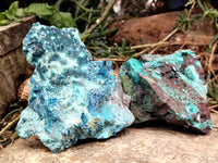 Natural Shattuckite with Chrysocolla and Malachite Cobbed Specimens x 11 From Kaokoveld, Namibia