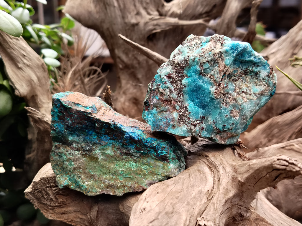 Natural Shattuckite with Chrysocolla and Malachite Cobbed Specimens x 11 From Kaokoveld, Namibia - Toprock Gemstones and Minerals 
