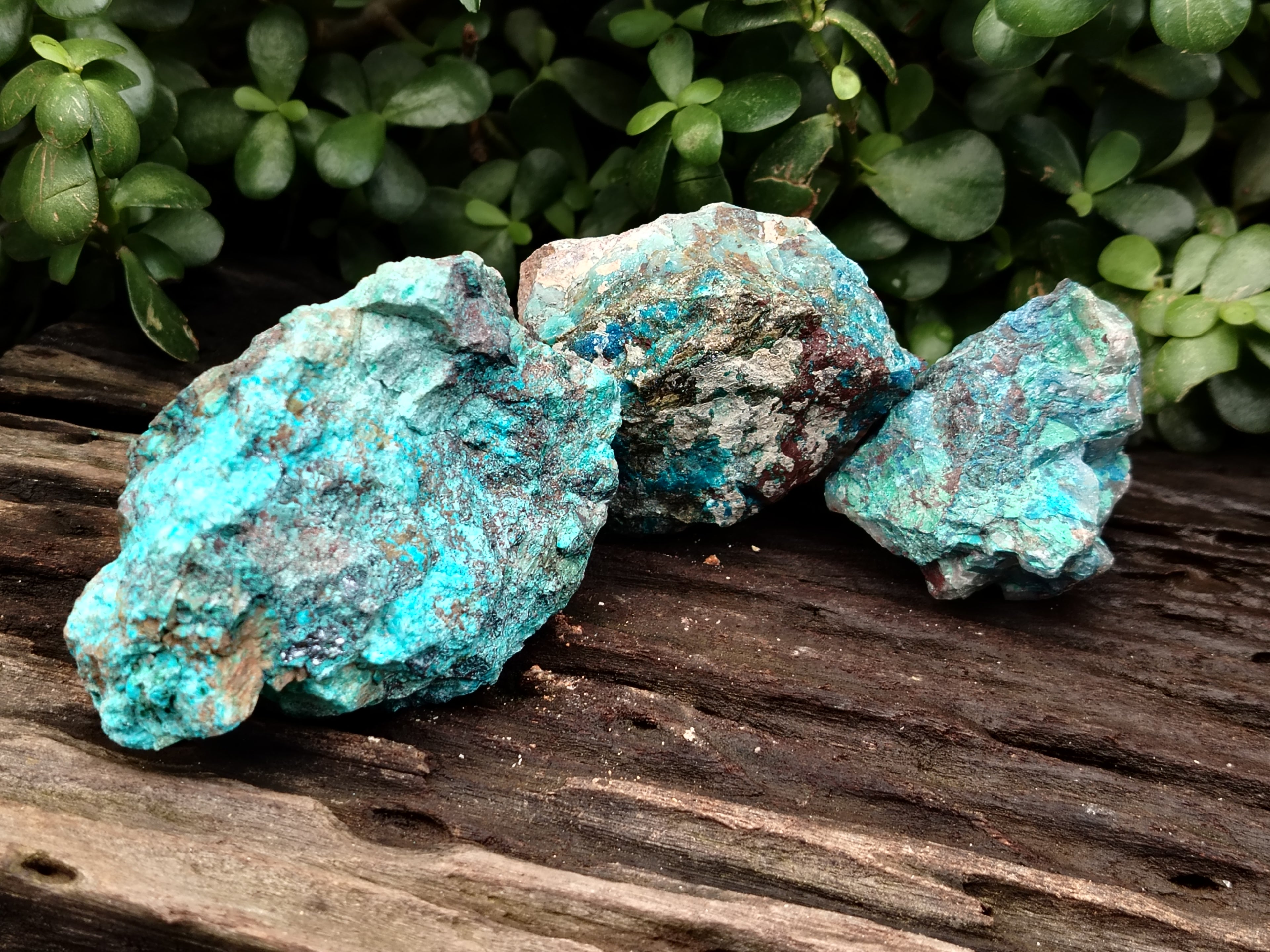 Natural Shattuckite with Chrysocolla and Malachite Cobbed Specimens x 11 From Kaokoveld, Namibia - Toprock Gemstones and Minerals 