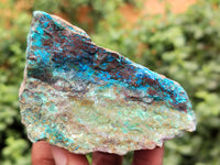 Natural Shattuckite with Chrysocolla and Malachite Cobbed Specimens x 11 From Kaokoveld, Namibia