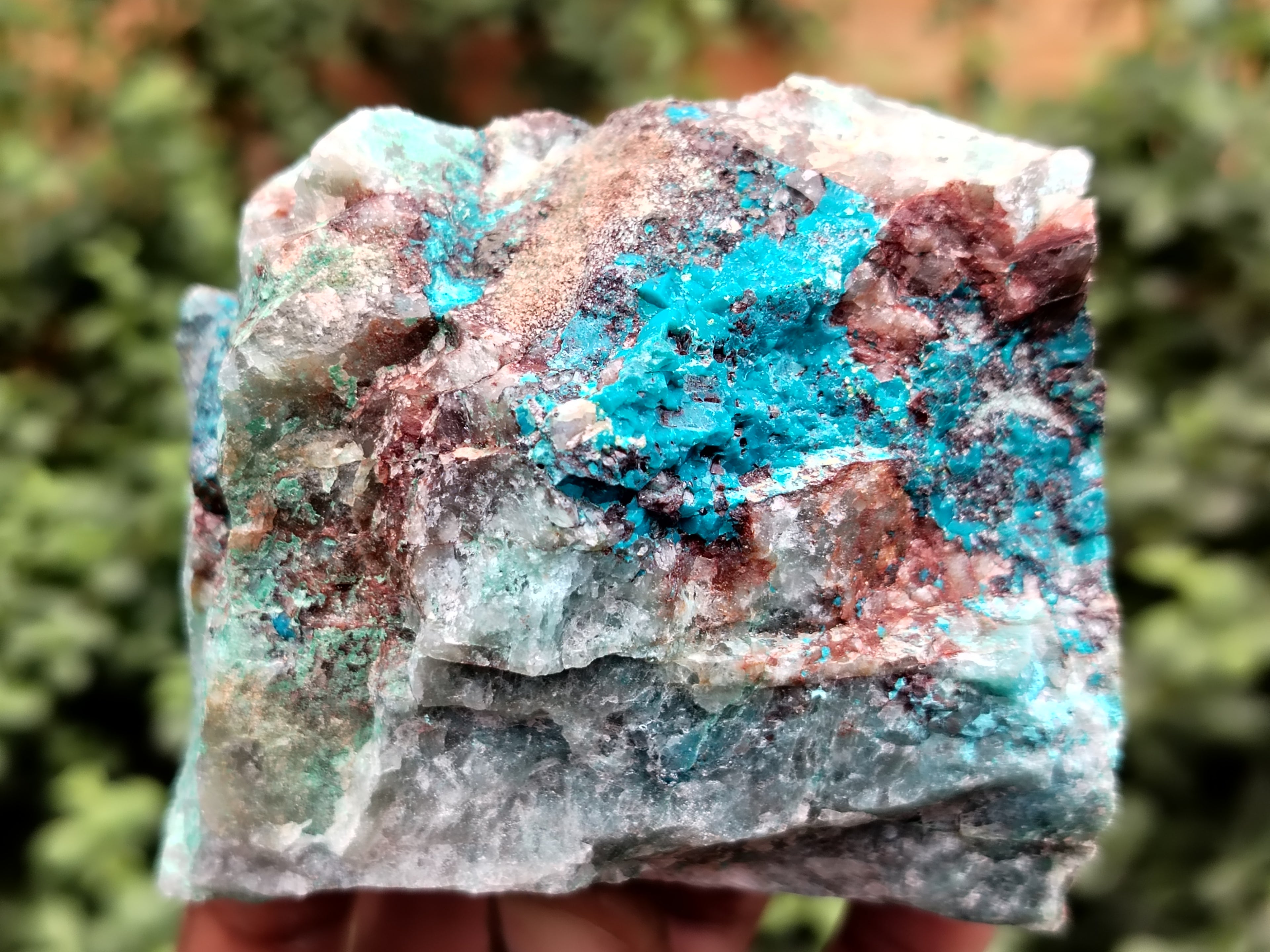 Natural Shattuckite with Chrysocolla and Malachite Cobbed Specimens x 11 From Kaokoveld, Namibia - Toprock Gemstones and Minerals 