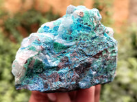 Natural Shattuckite with Chrysocolla and Malachite Cobbed Specimens x 11 From Kaokoveld, Namibia