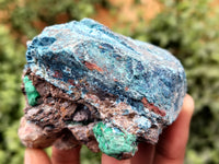 Natural Shattuckite with Chrysocolla and Malachite Cobbed Specimens x 11 From Kaokoveld, Namibia