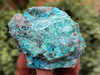 Natural Shattuckite with Chrysocolla and Malachite Cobbed Specimens x 11 From Kaokoveld, Namibia - Toprock Gemstones and Minerals 