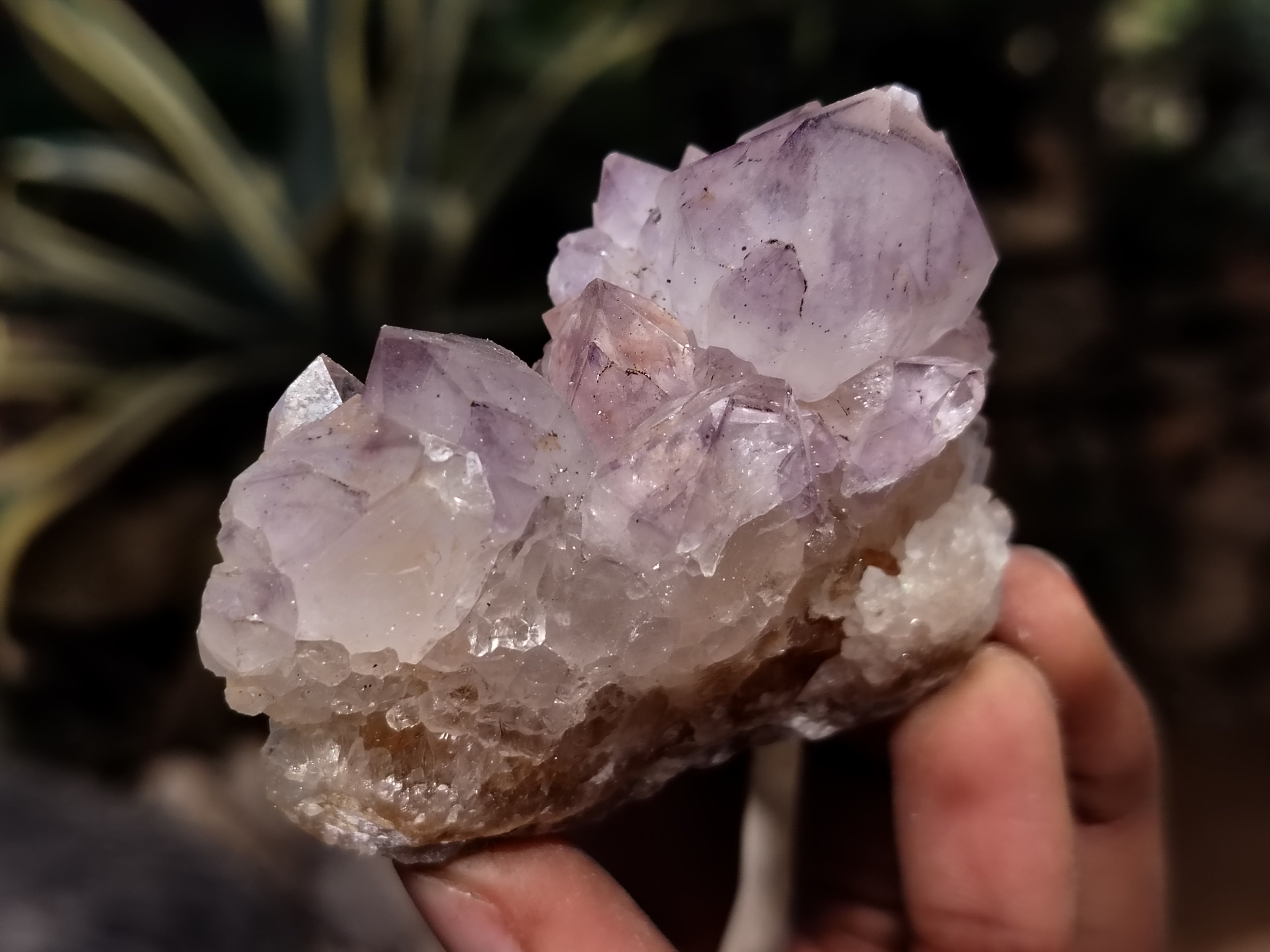 Natural Dark Amethyst Spirit Quartz Clusters x 12 From Boekenhouthoek, South Africa - Toprock Gemstones and Minerals 