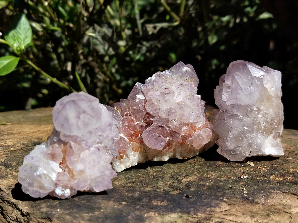 Natural Dark Amethyst Spirit Quartz Clusters x 12 From Boekenhouthoek, South Africa - Toprock Gemstones and Minerals 