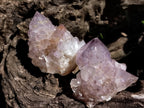 Natural Dark Amethyst Spirit Quartz Clusters x 12 From Boekenhouthoek, South Africa - Toprock Gemstones and Minerals 
