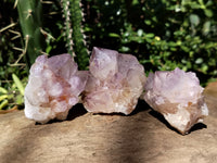 Natural Dark Amethyst Spirit Quartz Clusters x 12 From Boekenhouthoek, South Africa - Toprock Gemstones and Minerals 