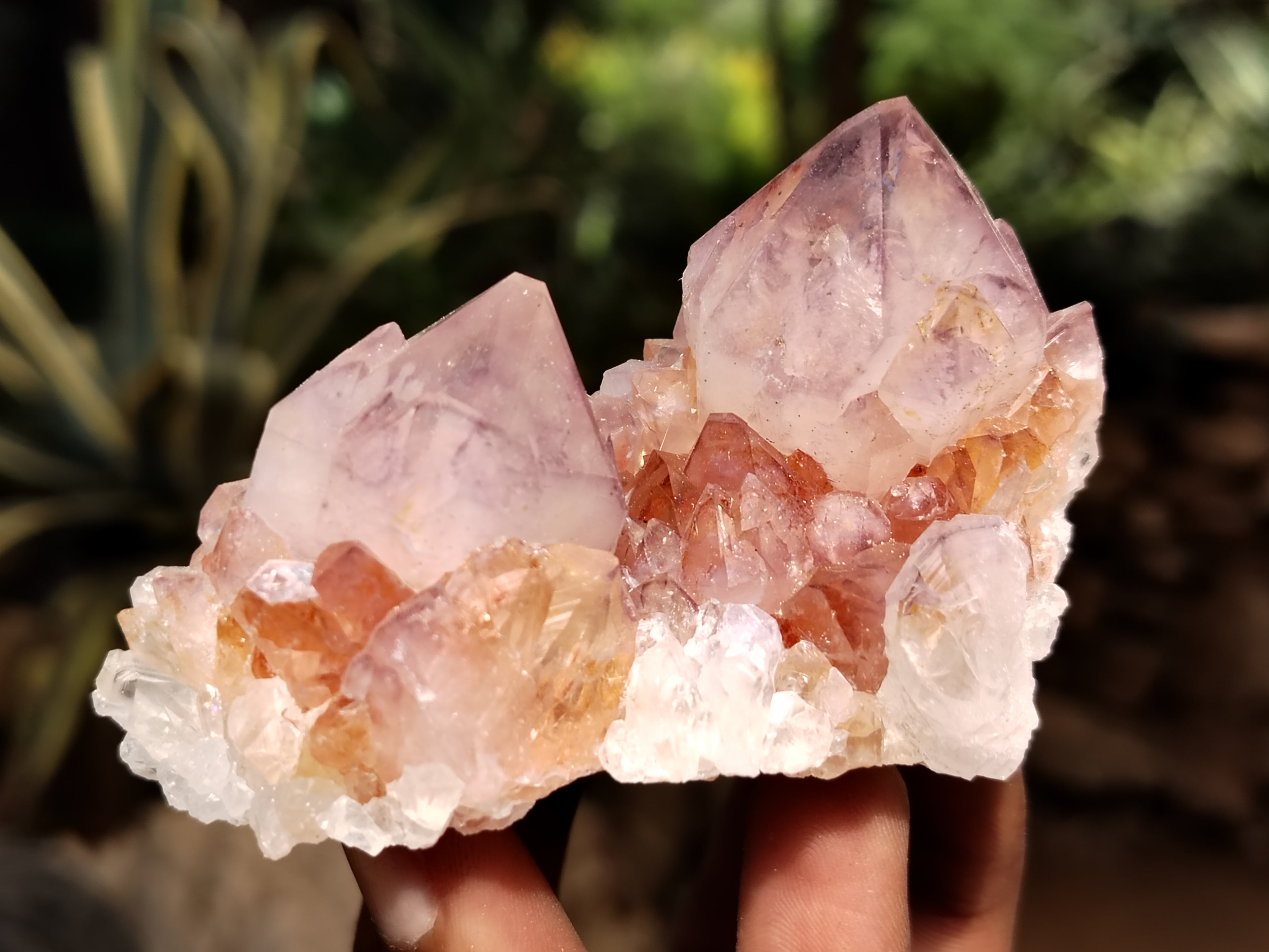 Natural Dark Amethyst Spirit Quartz Clusters x 12 From Boekenhouthoek, South Africa - Toprock Gemstones and Minerals 