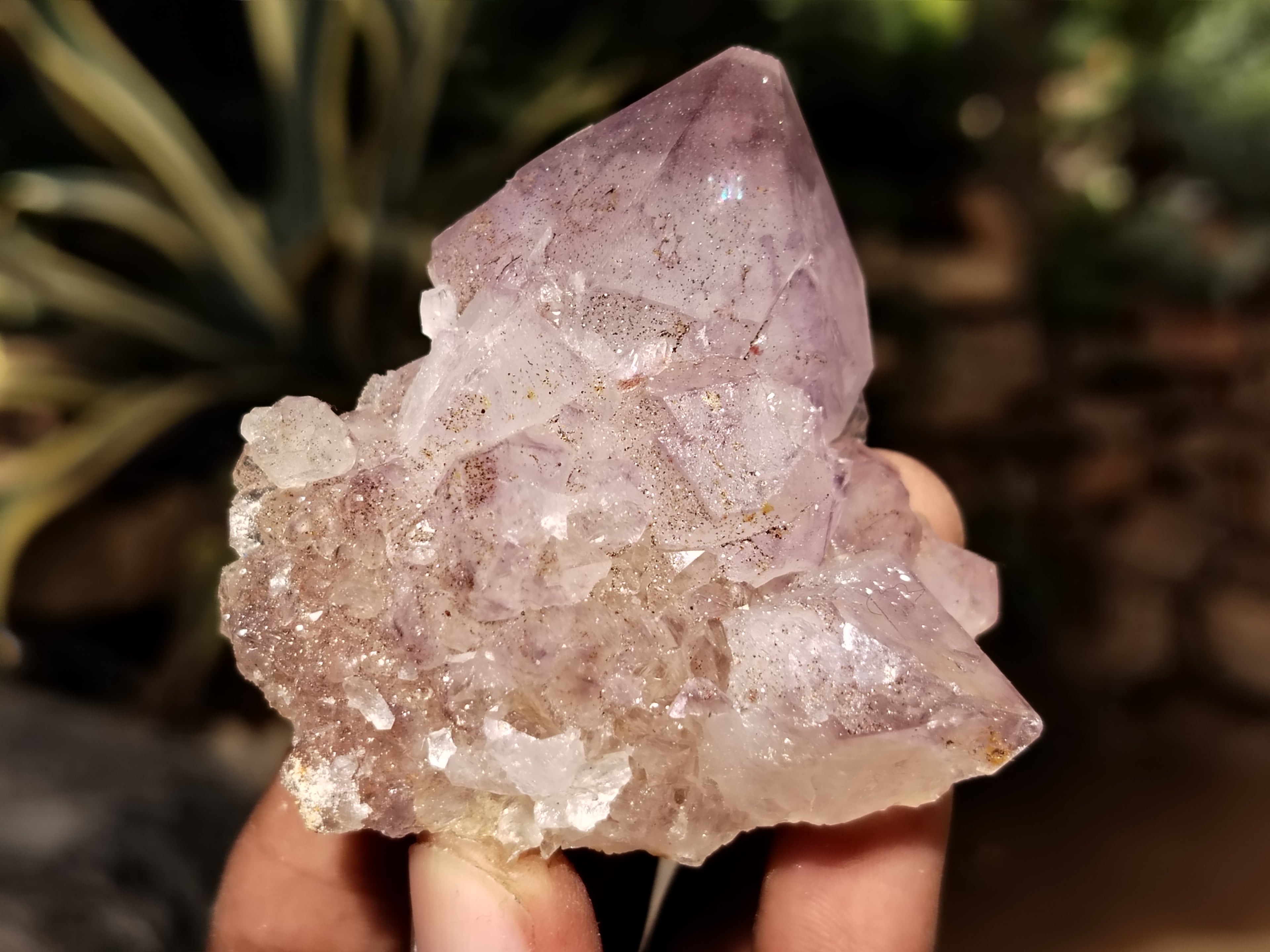 Natural Dark Amethyst Spirit Quartz Clusters x 12 From Boekenhouthoek, South Africa - Toprock Gemstones and Minerals 