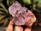 Natural Dark Amethyst Spirit Quartz Clusters x 12 From Boekenhouthoek, South Africa - Toprock Gemstones and Minerals 