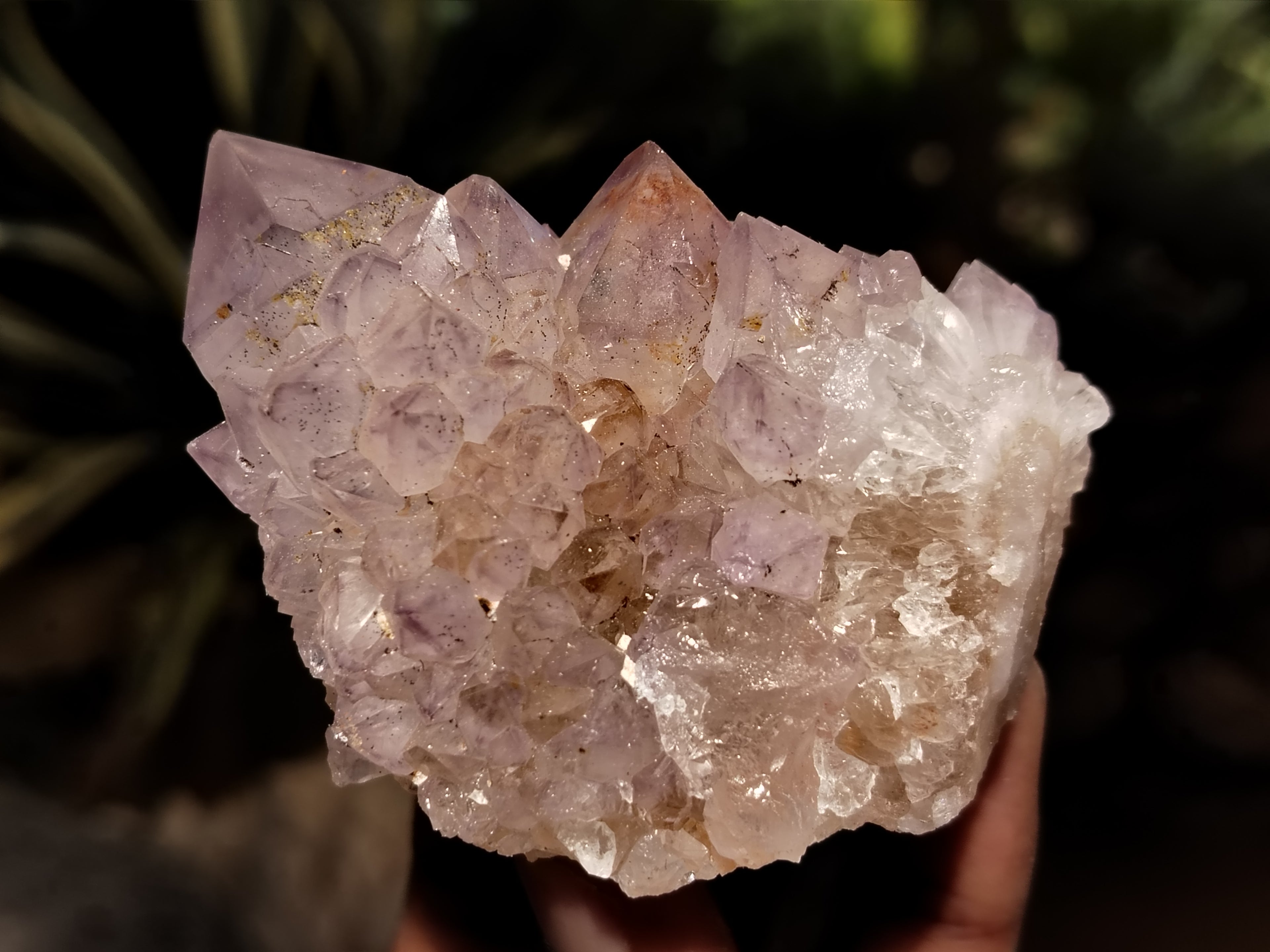 Natural Dark Amethyst Spirit Quartz Clusters x 12 From Boekenhouthoek, South Africa - Toprock Gemstones and Minerals 