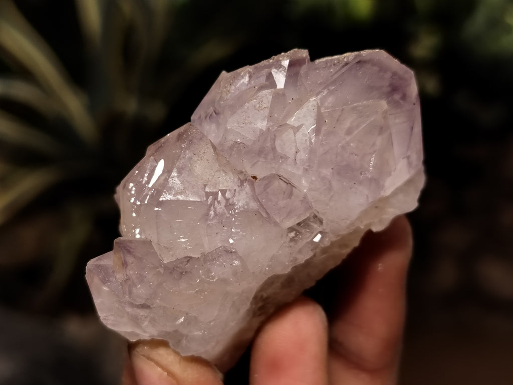 Natural Dark Amethyst Spirit Quartz Clusters x 12 From Boekenhouthoek, South Africa - Toprock Gemstones and Minerals 