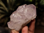Natural Dark Amethyst Spirit Quartz Clusters x 12 From Boekenhouthoek, South Africa - Toprock Gemstones and Minerals 