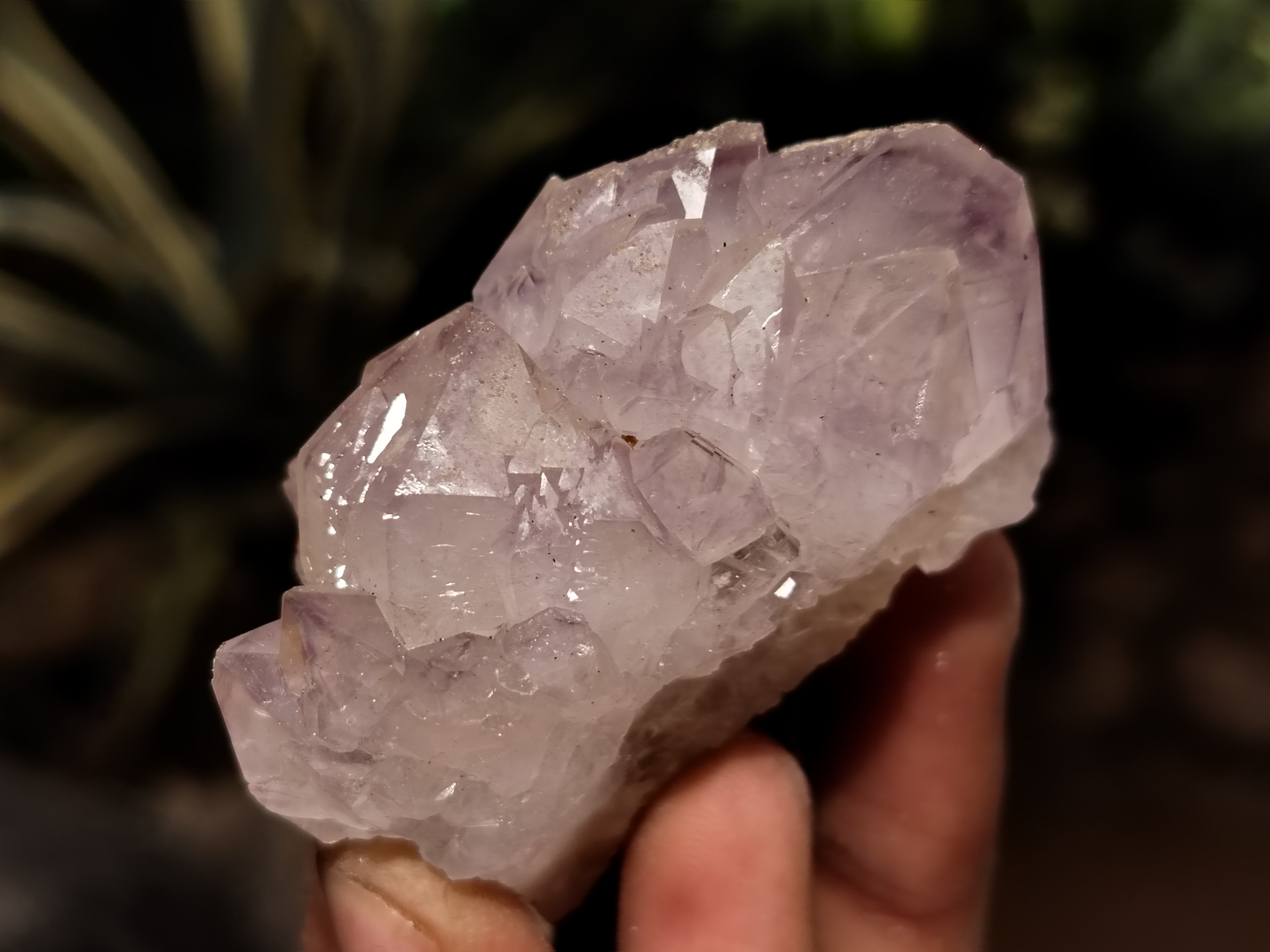 Natural Dark Amethyst Spirit Quartz Clusters x 12 From Boekenhouthoek, South Africa - Toprock Gemstones and Minerals 