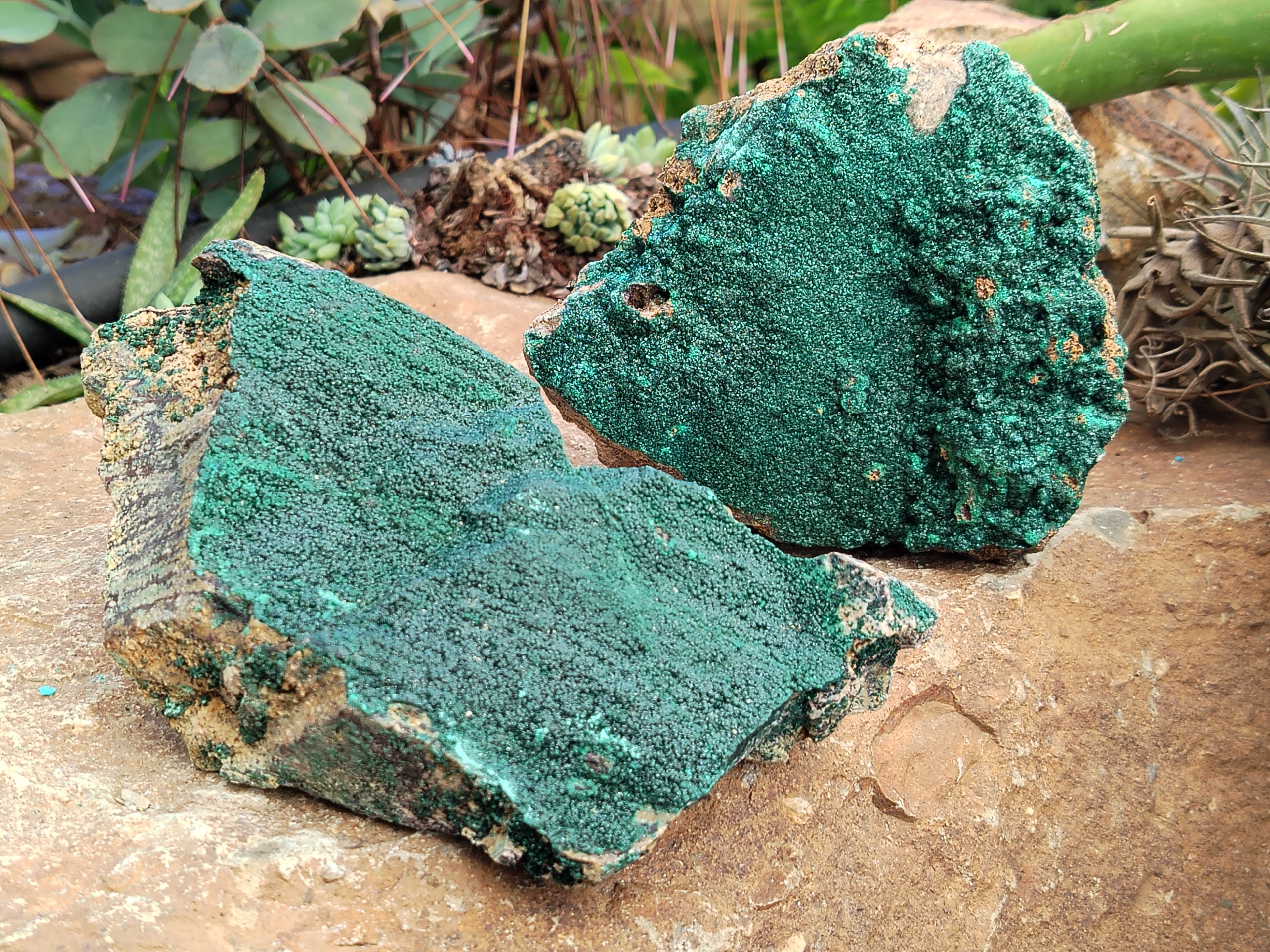 Natural Crystalline and Botryoidal  Malachite Specimens x 3 From Tenke Fungurume, Congo - Toprock Gemstones and Minerals 