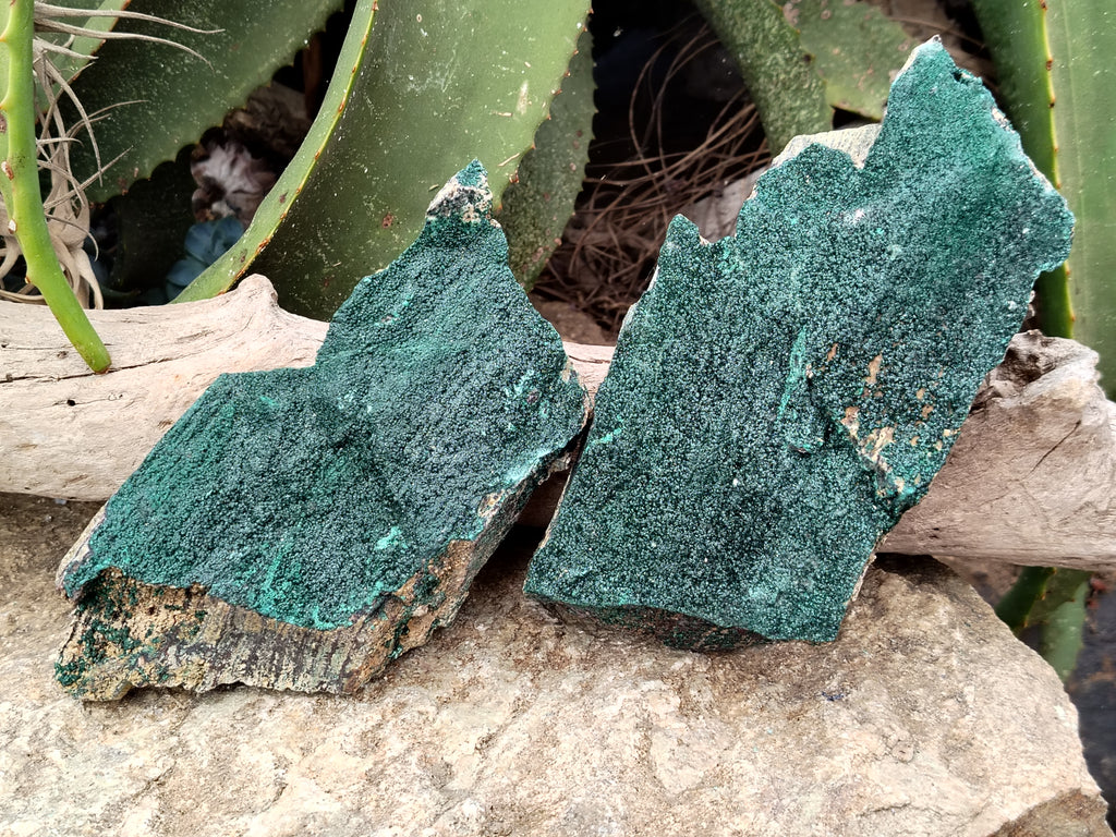 Natural Crystalline and Botryoidal  Malachite Specimens x 3 From Tenke Fungurume, Congo - Toprock Gemstones and Minerals 