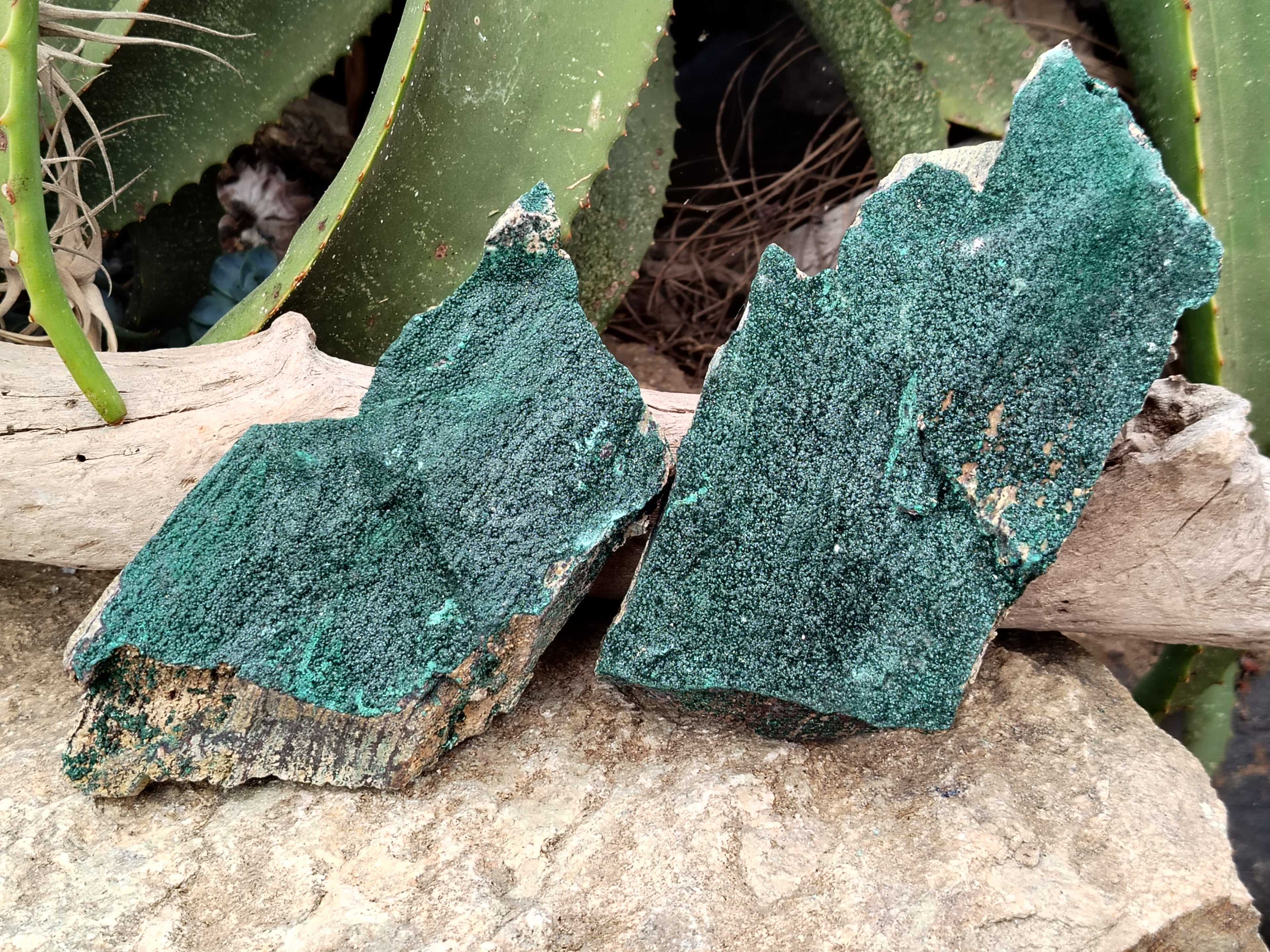 Natural Crystalline and Botryoidal  Malachite Specimens x 3 From Tenke Fungurume, Congo - Toprock Gemstones and Minerals 