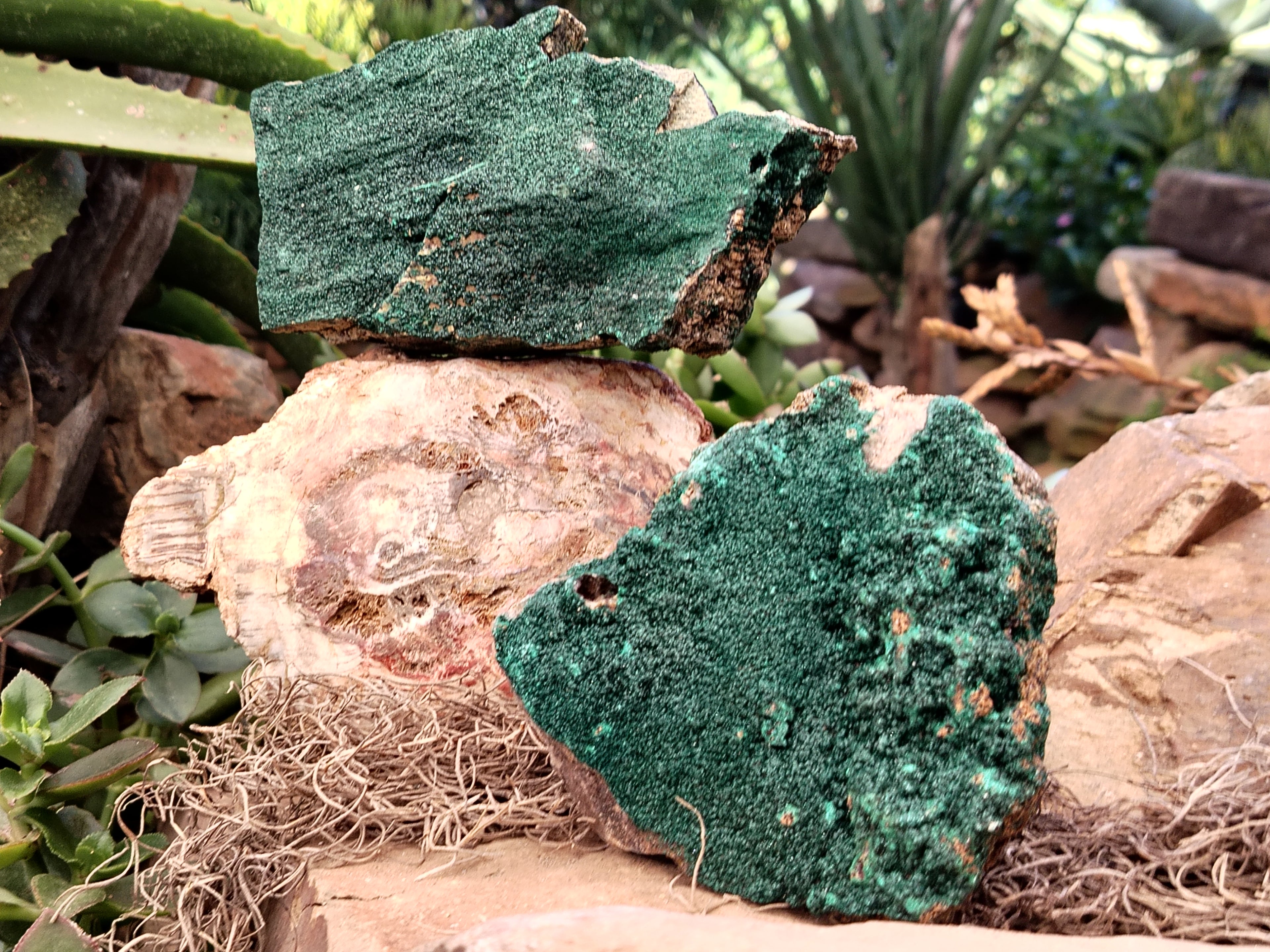 Natural Crystalline and Botryoidal  Malachite Specimens x 3 From Tenke Fungurume, Congo - Toprock Gemstones and Minerals 